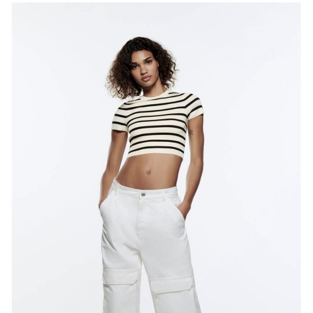 Zara Cropped Knit Top